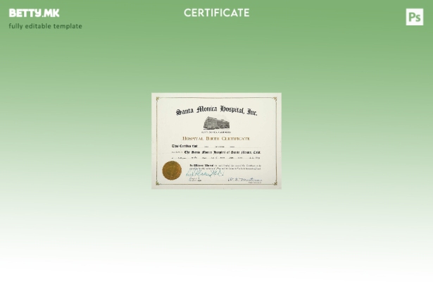 модерен стил Шаблон за извод од матична книга на родените во болницата во Калифо